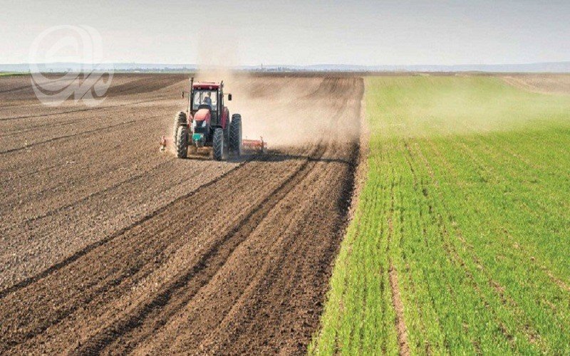 4.1 ملايين طن من الحنطة تدخل مخازن الدولة