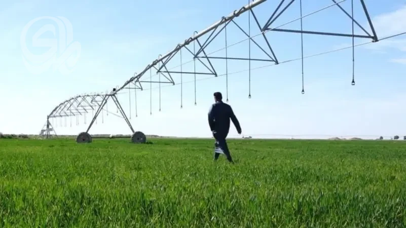 هل يسهم الاستثمار الزراعي في دعم الأمن الغذائي وتقليل البطالة؟